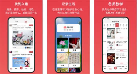 桃有木平台app下载安装客户端