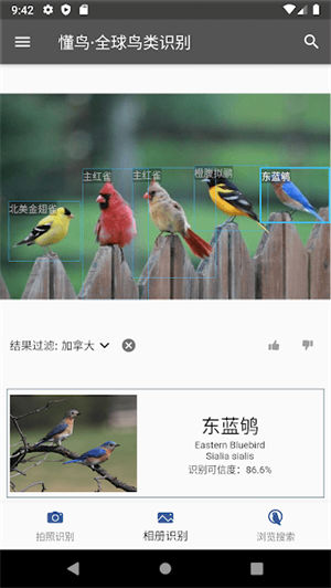 懂鸟智能鸟类识别软件免费版