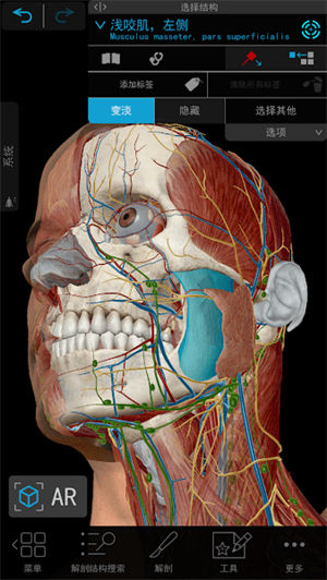 atlas人体解剖学图谱app下载