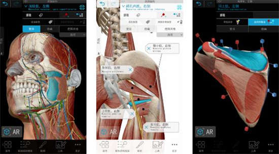 atlas人体解剖学图谱app限免